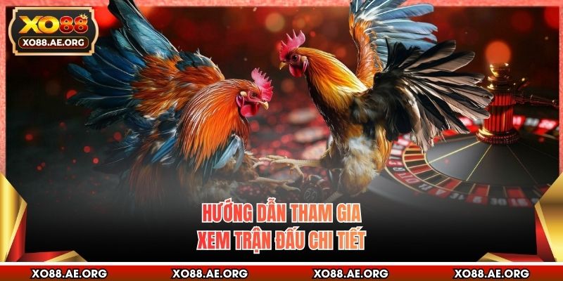 Hướng dẫn tham gia xem trận đấu chi tiết