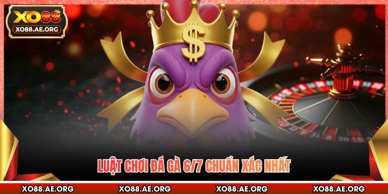 Luật chơi đá gà 6/7 chuẩn xác nhất