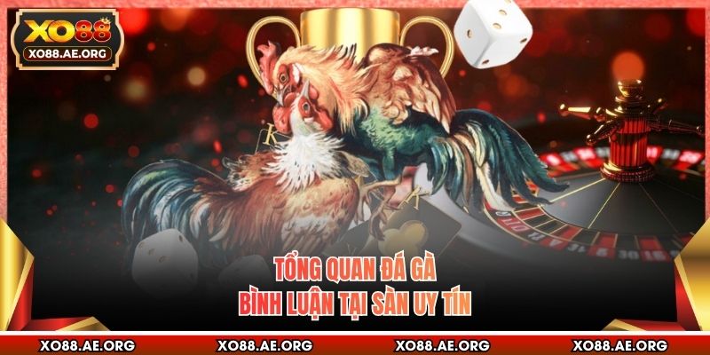 Tổng quan đá gà bình luận tại sàn uy tín